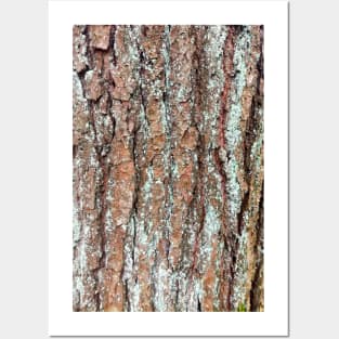 Wood, pattern, tree, nature Posters and Art